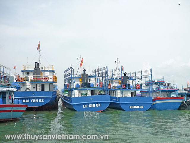 Tàu mới đang tập kết tại cảng cá Đề Gi – Phù Cát chuẩn bị vươn khơi