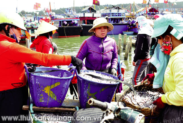 Thương lái thu mua hải sản tại bến   Ảnh: Minh Hoàn