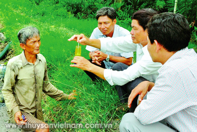 Kiểm tra công tác chuẩn bị cho vụ sản xuất lúa trên đất nuôi tôm   Ảnh: HD