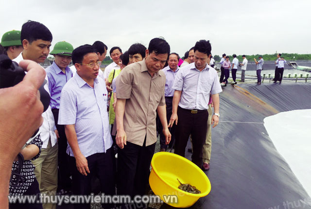 Bộ trưởng Bộ NN&PTNT Nguyễn Xuân Cường thăm mô hình nuôi tôm trên cát tại Hà Tĩnh  Ảnh: Nam Anh