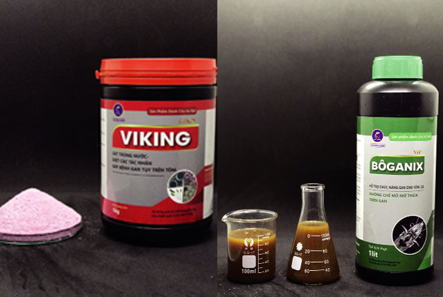 Sản phẩm của Hải Long giúp người nuôi tôm khắc phục được dịch bệnh, vệ sinh bạt, đảm bảo chế độ dinh dưỡng tốt nhất cho tôm Sản phẩm của Hải Long giúp người nuôi tôm khắc phục được dịch bệnh, vệ sinh bạt, đảm bảo chế độ dinh dưỡng tốt nhất cho tôm