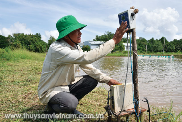 Nông dân sử dụng thiết bị giám sát môi trường nước trong ao nuôi   Ảnh: Trần Út