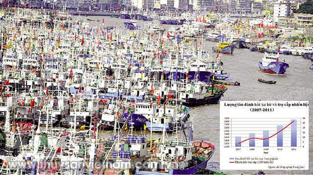 Hàng trăm tàu cá tại Châu Sơn - vựa chế biến thủy sản của Trung Quốc