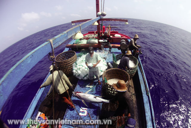 Ngư dân tham gia khai thác thủy sản xa bờ  Ảnh: Xuân Trường