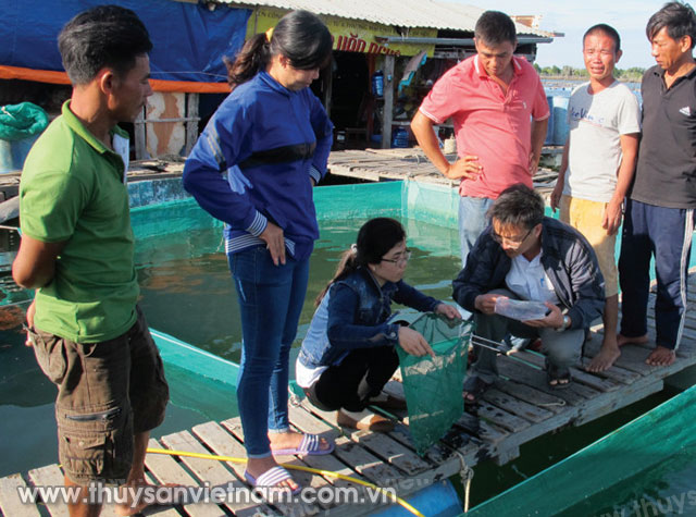 Cán bộ Chi cục Thú y Bà Rịa - Vũng Tàu lấy mẫu cá chết tại hộ ông Nguyễn Duy Như   Ảnh: Nguyễn Thi