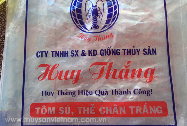 Phát hiện nhiều vi phạm của Công ty Huy Thắng Phát hiện nhiều vi phạm của Công ty Huy Thắng