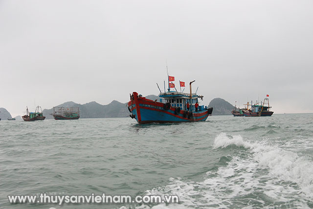 Tàu thuyền ngư dân Quảng Yên thường neo đậu tại các địa phương khác