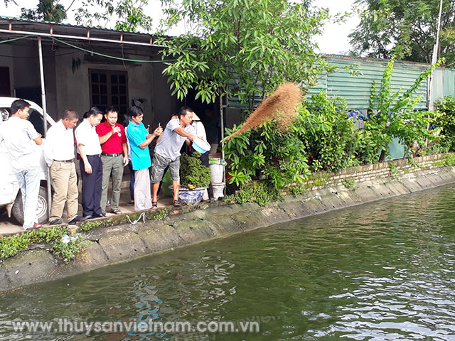 Lớp tập huấn tham quan MH nuôi cá rô phi hộ ông Ngô Trí Long, xã Nghi Kim, TPV