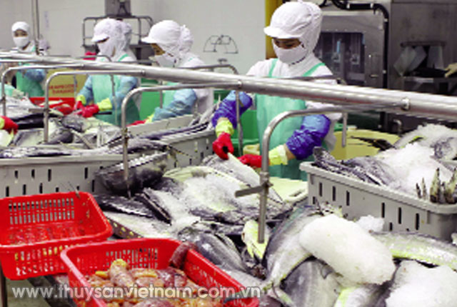 An toàn vệ sinh thực phẩm được nhiều doanh nghiệp thủy sản chú trọng   Ảnh: An Đăng