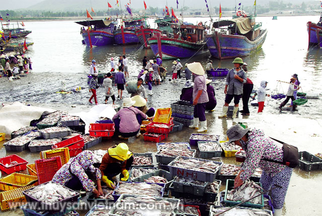 Còn nhiều bất cập tại cảng cá, bến cá   Ảnh: Quang Quyết