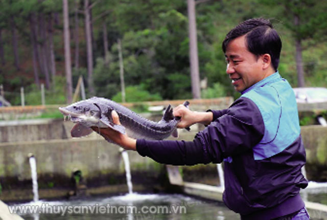 Nuôi cá nước lạnh ở Lâm Đồng   Ảnh: Lâm Viên