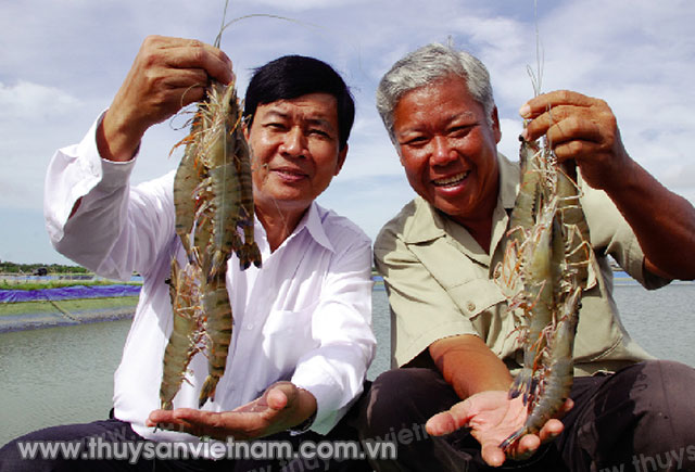 Chất lượng Vàng thủy sản Việt Nam vinh danh các cá nhân,   Ảnh: Phan Thanh Cường doanh nghiệp tiêu biểu
