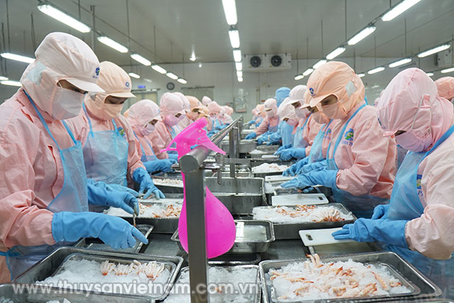 Minh Phú: Top 50 công ty thủy sản lớn nhất thế giới