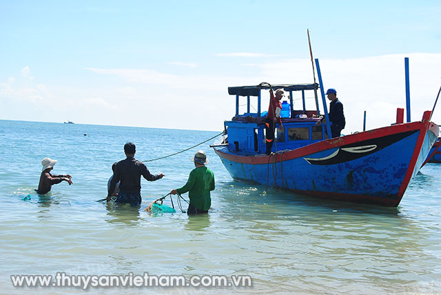 Ngư dân dùng xuồng chở tôm hùm từ bè nuôi tại Hải Giang về xã để bán cho thương lái