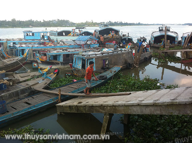 Một cầu tàu ở chợ đầu mối thủy, hải sản Bình Khánh Một cầu tàu ở chợ đầu mối thủy, hải sản Bình Khánh