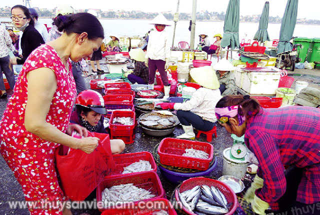 Nhộn nhịp chợ cá Đồng Hới  Ảnh: Hạnh Châu