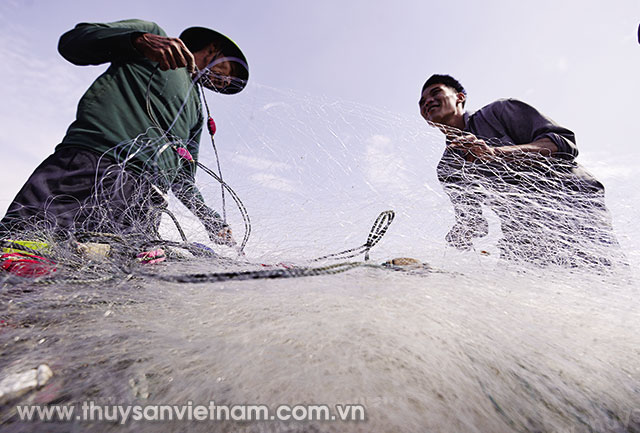 Cần nâng cao chất lượng lao động ngành thủy sản Cần nâng cao chất lượng lao động ngành thủy sản