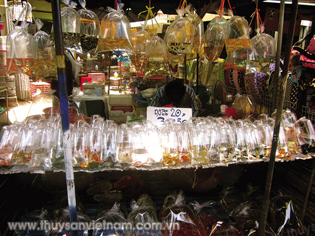 Chợ cá Chatuchak tại Thái Lan