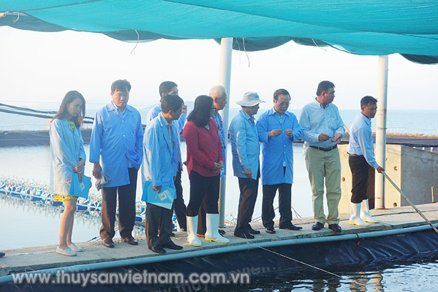 Phó Giám đốc Lê Hữu Tình dẫn đoàn đi tham quan Khu sản xuất giống công nghệ cao. 