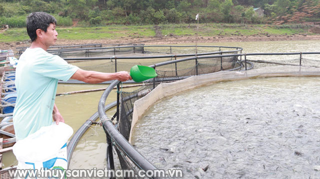 Nuôi cá lồng ở Hồ Núi Cốc, Thái Nguyên   Ảnh: V.M