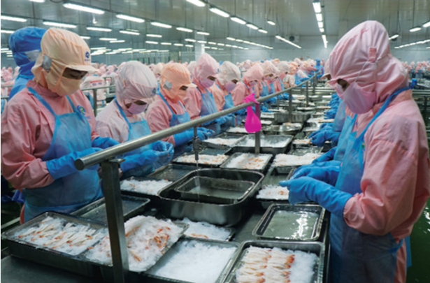 Sản phẩm tôm của Minh Phú hiện có mặt tại hơn 50 quốc gia và vùng lãnh thổ     Ảnh: Nguyệt Nga 