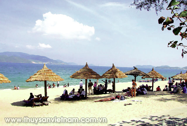 Bãi biển Nhật Lệ (Quảng Bình) thu hút khách du lịch    Ảnh: CTV