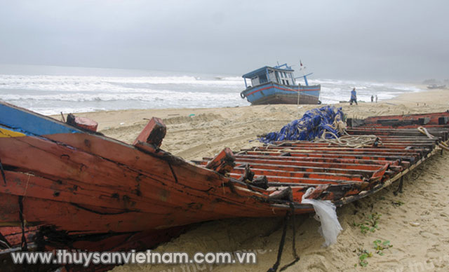 Thuyền trưởng Nguyễn Trực trắng tay vì không mua bảo hiểm tàu cá