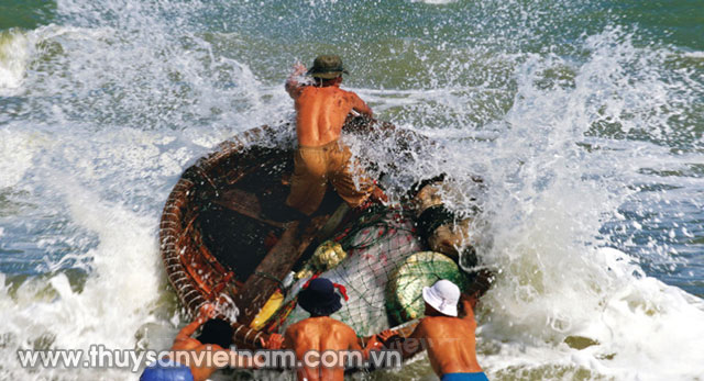 Chiếc thuyền thúng - trí khôn biển Việt, nơi mỗi ngày vẫn đang lưu giữ những kí ức miền biển Việt   Ảnh: CTV