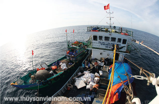 Hiện cả nước có khoảng 192.000 ngư dân tham gia khai thác hải sản xa bờ   Ảnh: Xuân Trường