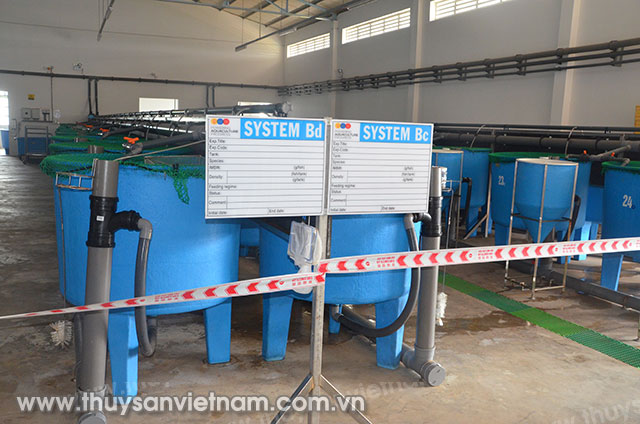 De Heus tiến hành các hoạt động nghiên cứu và thực nghiệm trong lĩnh vực thủy sản