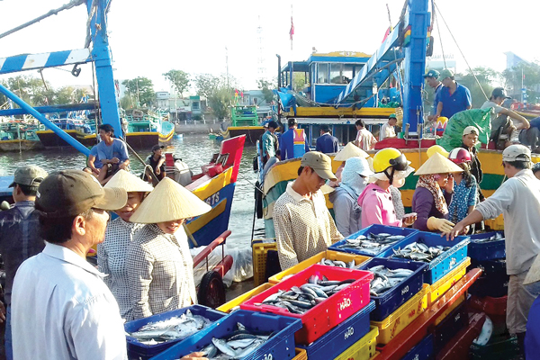 Những chuyến biển cuối năm đầy ắp hải sản mang lại niềm vui cho ngư dân Bình Thuận