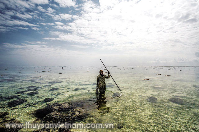 Săn bạch tuộc ở Zanzibar