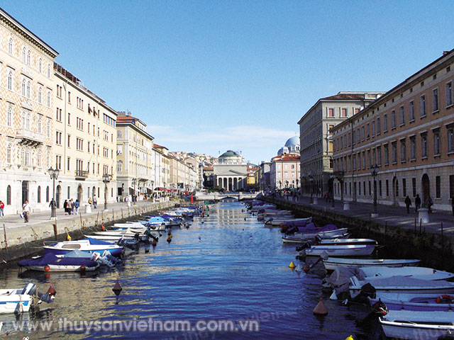 Trieste -  Sức sống nơi cảng biển