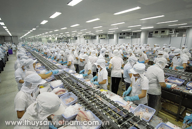 Thủy sản vẫn là mũi nhọn trong phát triển nông nghiệp  Ảnh: Hoàng Vũ