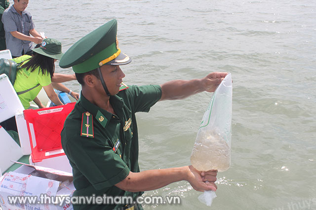 Cán bộ Đồn Biên phòng Xẻo Nhàu, xã Tân Thạnh, huyện An Minh tham gia thả giống thủy sản