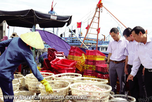 Đoàn công tác của Hội Nghề cá Việt Nam thăm Cảng cá Sông Gianh   Ảnh: Phương Chi