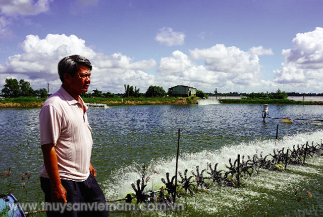 Ông Vân bên ao tôm sử dụng chế phẩm vi sinh của mình   Ảnh: Mai Trường