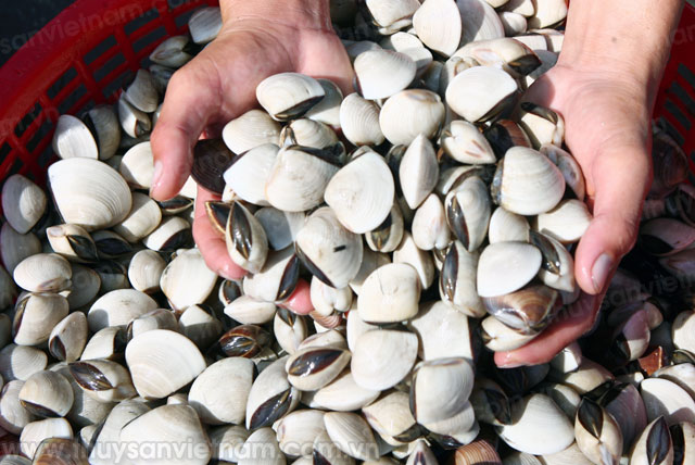 hiệu quả nuôi thủy sản tại xã nam điền hiệu quả nuôi thủy sản tại xã nam điền