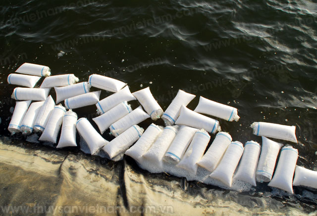 bình định chỉ đạo quản lý nuôi trồng thủy sản hiệu quả an toàn