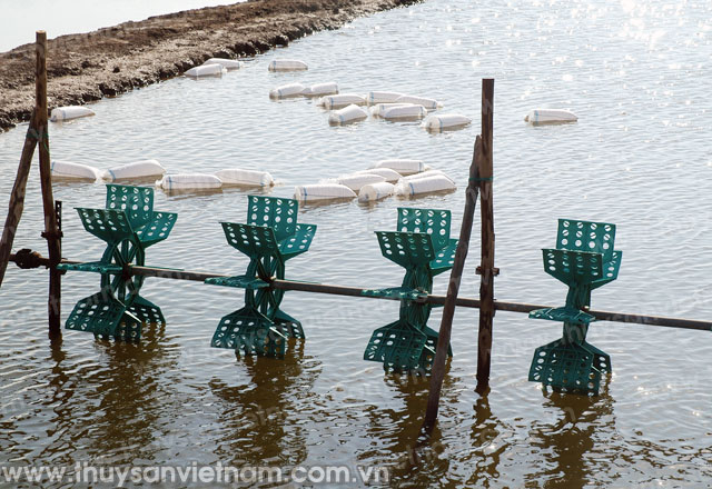 lịch nuôi tôm nước lợ năm 2016 của khánh hòa