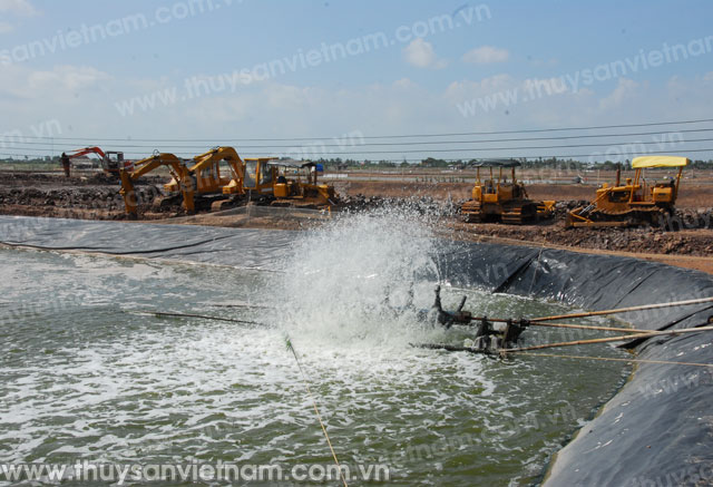 Vĩnh Long: Khảo sát thủy lợi phục vụ nuôi trồng thủy sản