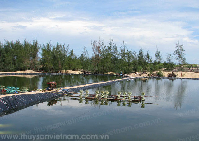 tiềm năng thủy sản quảng nam tiềm năng thủy sản quảng nam