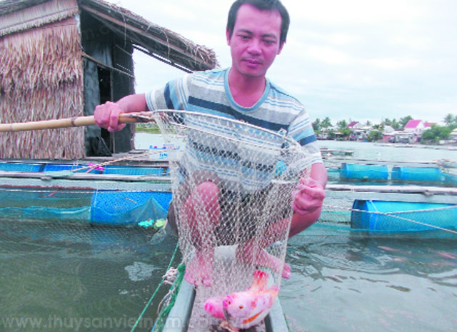 nuôi cá lồng bè nuôi cá lồng bè