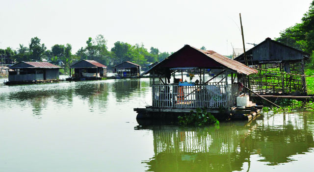 dãy bè cá tại an giang tan hoang