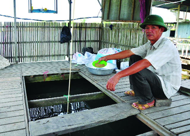 người dân nuôi cá bè an giang mỏi mòn chờ kết luận cá chết