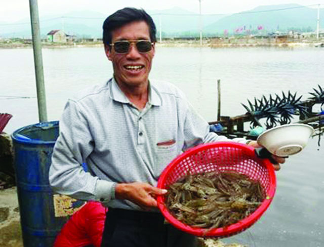 nuôi tôm thắng đậm nhờ giống tốt