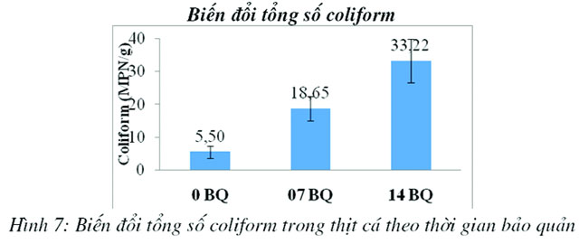 biến đổi tổng số coliform trong thịt cá ngừ theo thời gian bảo quản