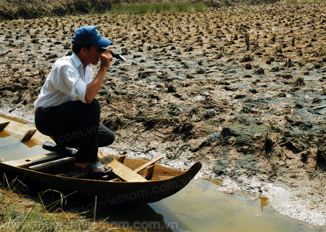 đbscl nuôi tôm nước lợ trong điều kiện hạn mặn