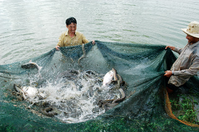 bạc liêu hiệu quả các mô hình thủy sản