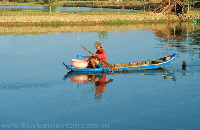 Nguyên tắc sử dụng thuốc kháng sinh